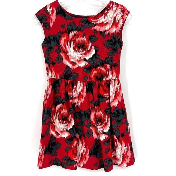 Baby Gap Girls Dress Red Floral L 10 Holiday - Picture 1 of 6